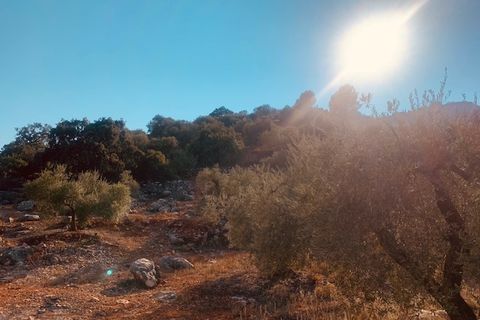 Helårsgrund i Comares, Malaga, Comares - € 25.000 | Ref: ID3898 - foto 5